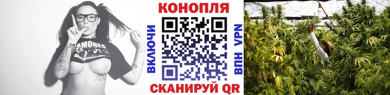 Каннабис планчик  Октябрьск 